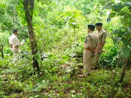 jangal me